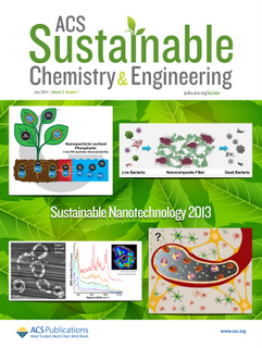 SNO conference papers
